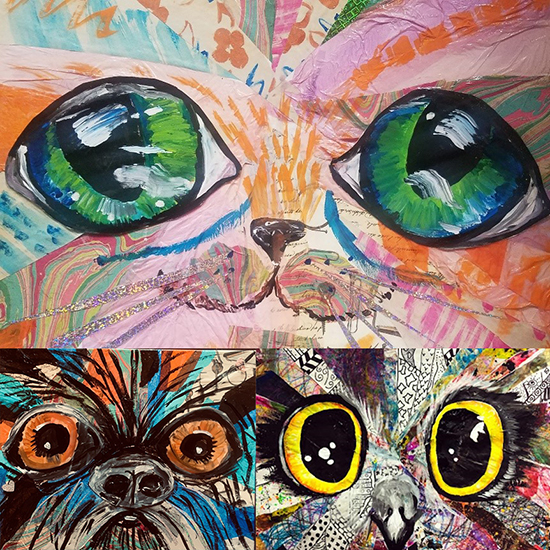 collage animal faces