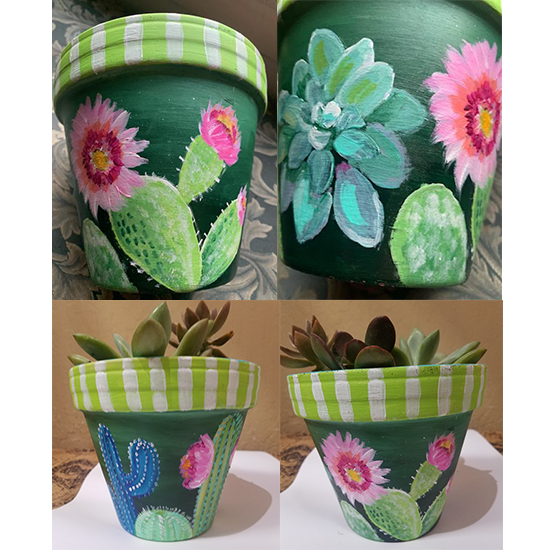 Paint a Pot & Play with Succulents